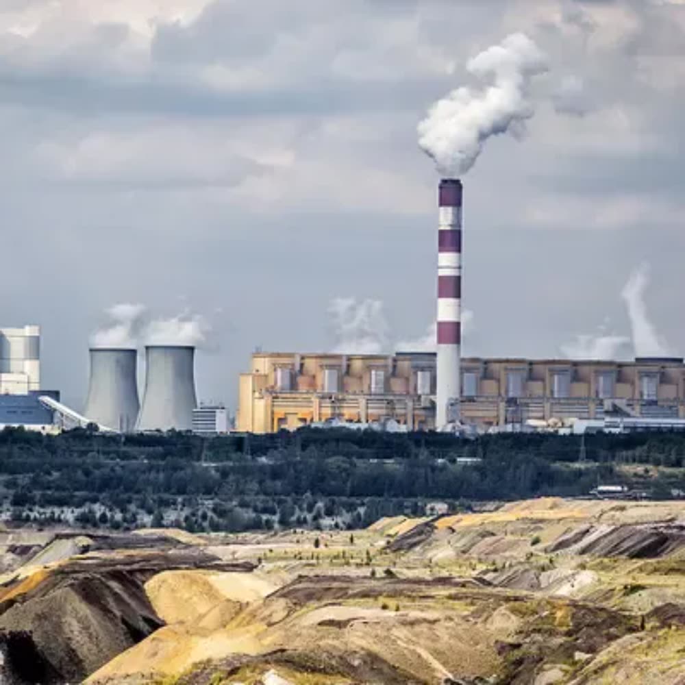 冬天买不起燃料取暖怎么办？波兰人在自家花园挖煤